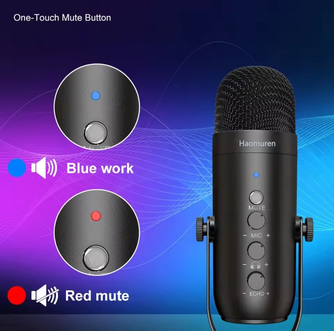 Microphone Haomuren