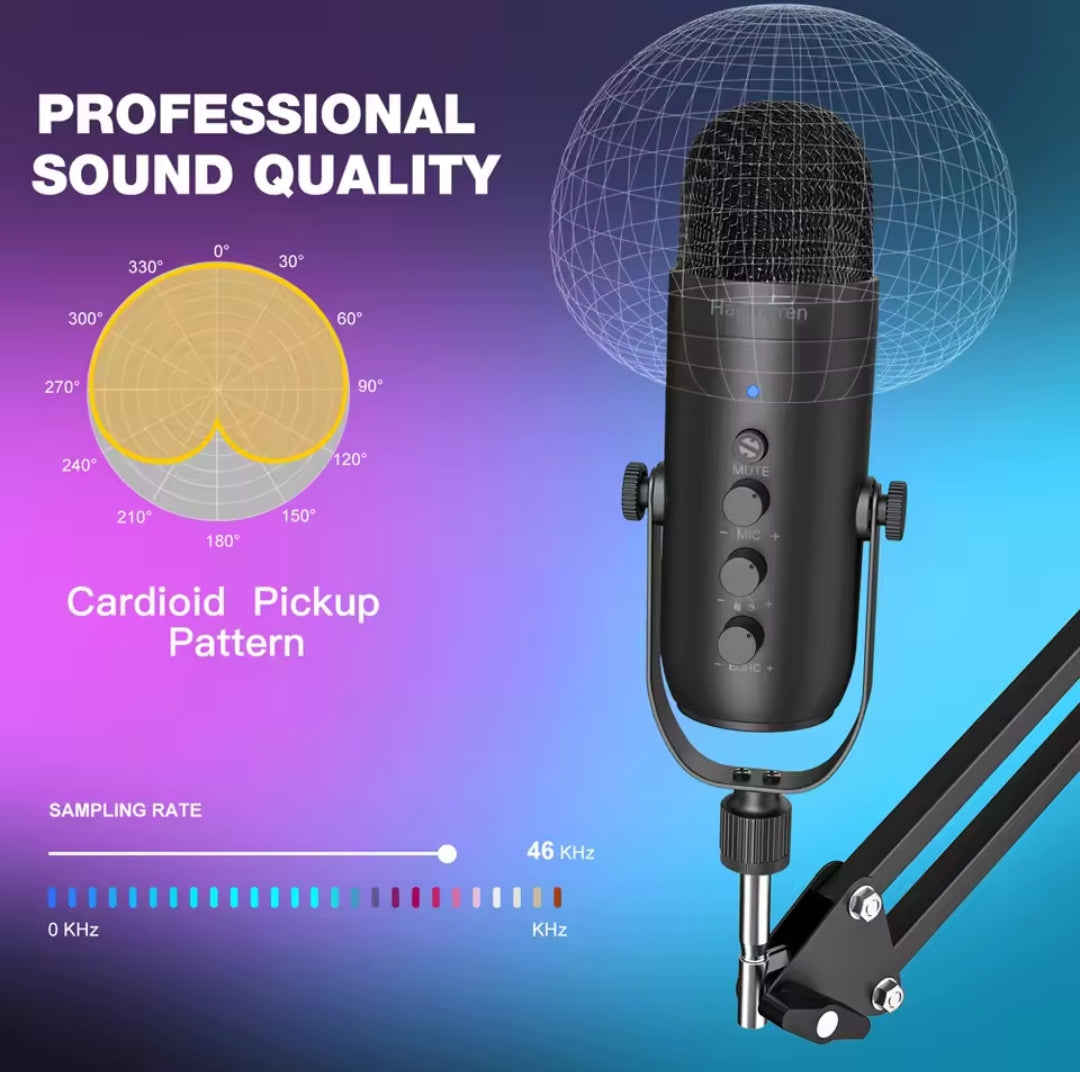Microphone Haomuren