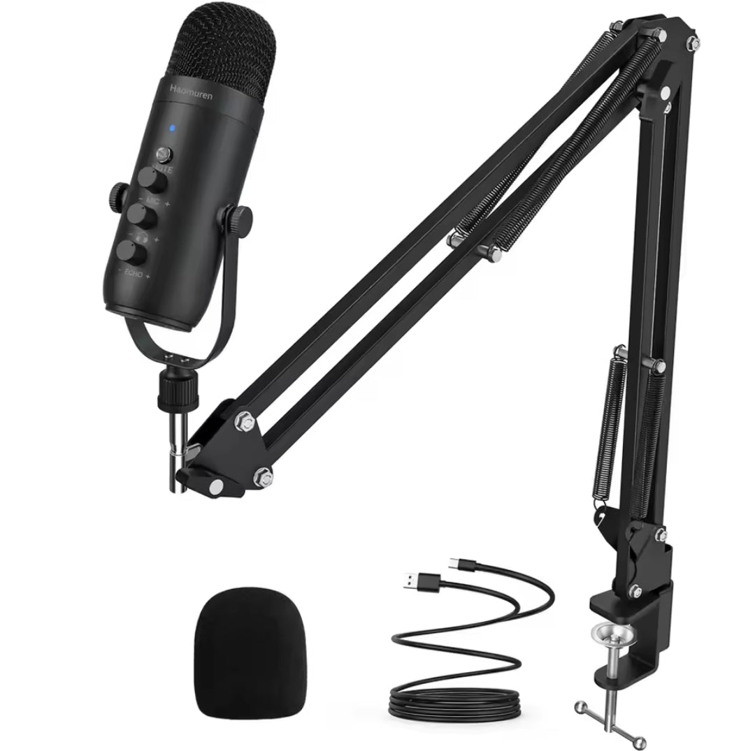 Microphone Haomuren