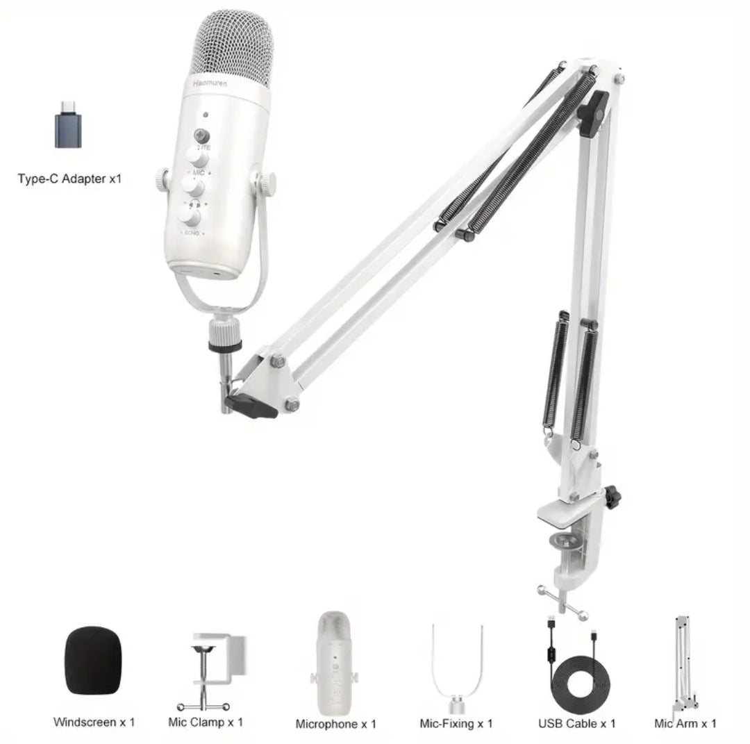 Microphone Haomuren