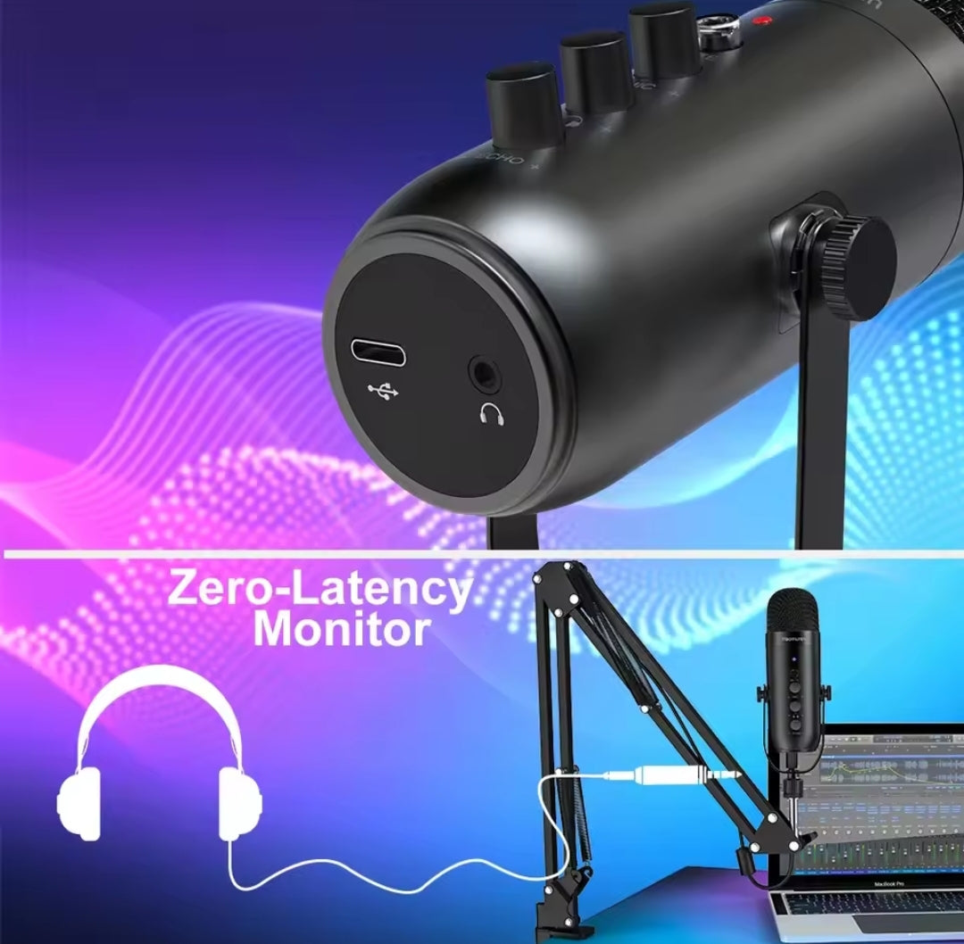 Microphone Haomuren