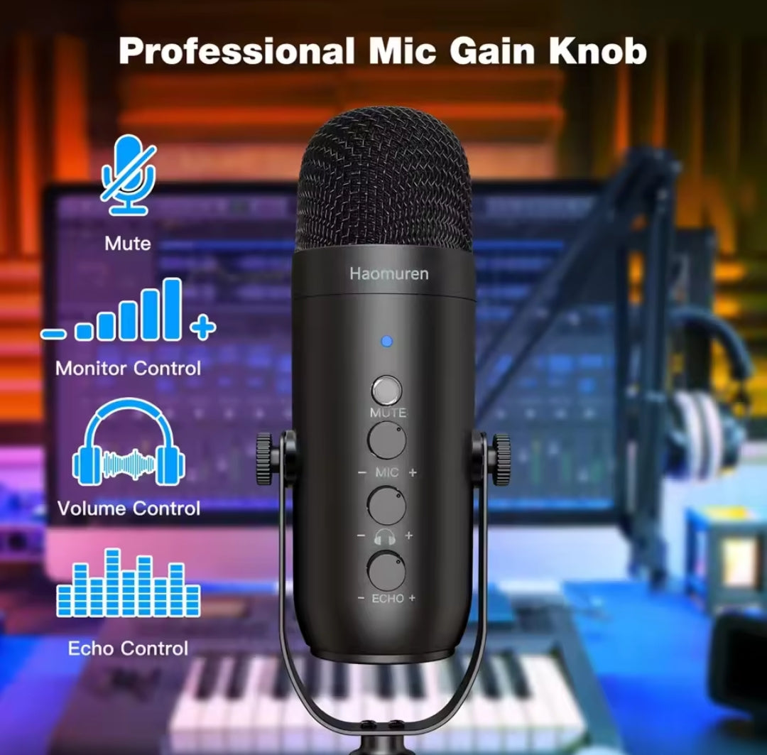 Microphone Haomuren